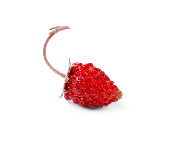 一个成熟的野草莓 用白色隔开 — 图库照片