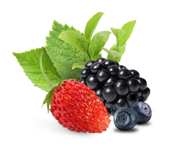 Wild berries. Blackberry, strawberry, bilberries and green leaves isolated on white