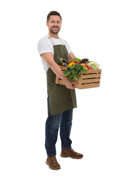 收获季节 拿着白色背景蔬菜的木板箱的快乐农民 — 图库照片