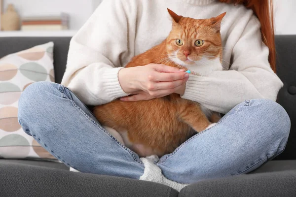 Woman giving pill to cute cat on sofa indoors, closeup