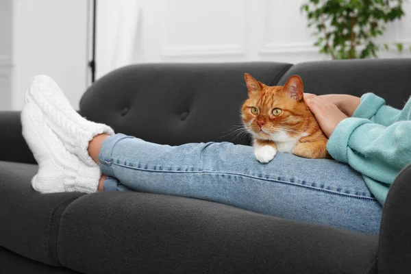 Woman petting cute cat on sofa at home, closeup