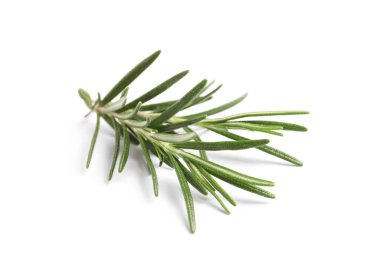 Taze biberiye beyaz izole fışkın