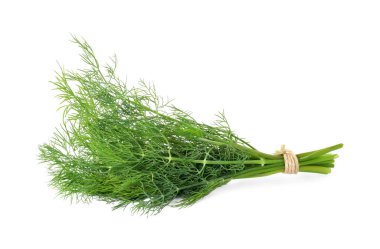 Taze dereotu sürüsü beyazda izole edilmiş.