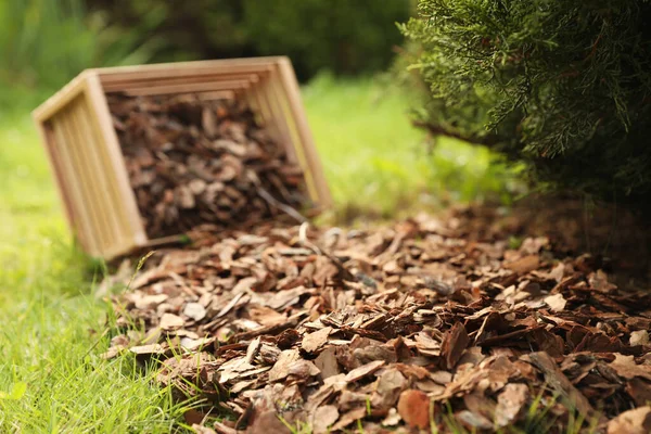 Wooden box with bark chips in garden, closeup
