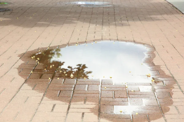 One Puddle Street Tiles Outdoors Rain — Stock Photo, Image