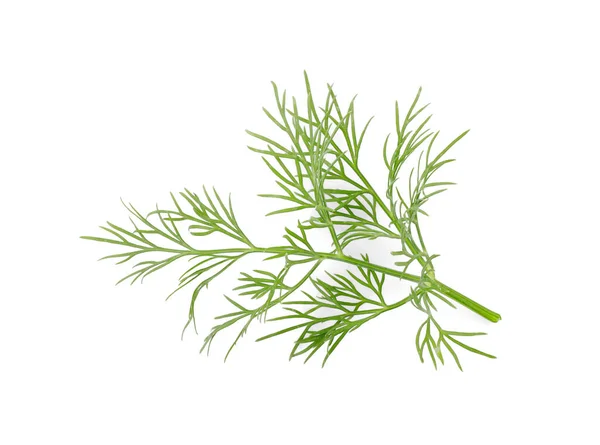 Sprig Fresh Dill Isolated White Top View — Stock Photo, Image