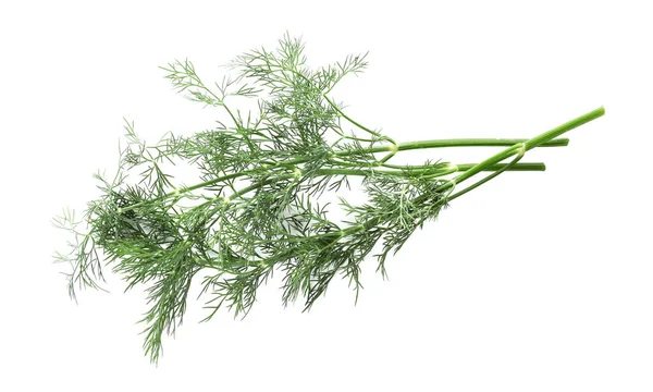 Sprigs Fresh Dill Isolated White Top View — Stock Photo, Image