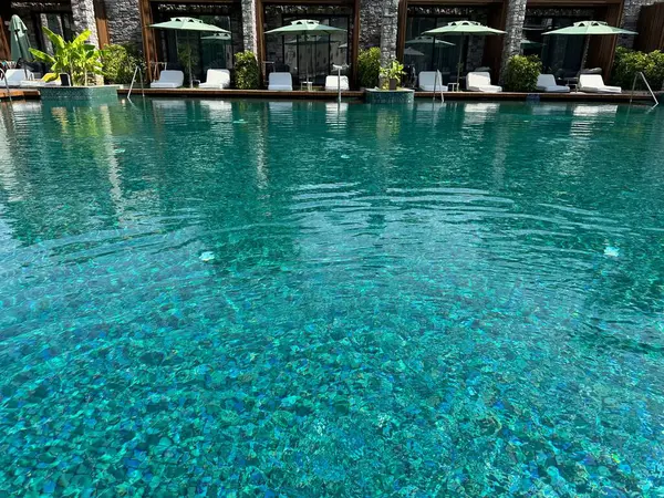 Swimmingpool Exotische Pflanzen Sonnenschirme Und Liegen Luxus Resort — Stockfoto