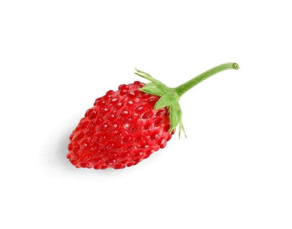 一个成熟的野草莓 在白色的顶部被隔离 — 图库照片