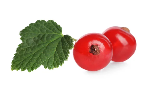 新鲜成熟的红醋栗浆果和绿叶 在白色上隔离 — 图库照片