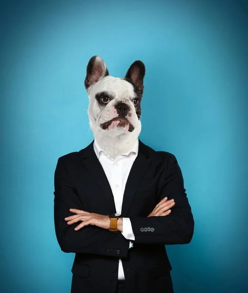 Portrait of businessman with dog face on light blue gradient background
