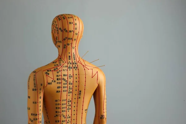 Acupuncture - alternative medicine. Human model with needles in shoulder against grey background, back view. Space for text
