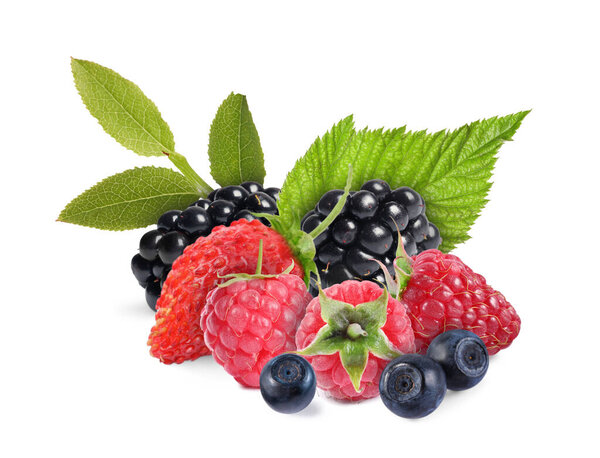 Wild berries. Blackberries, raspberries, strawberry, bilberries and green leaves isolated on white