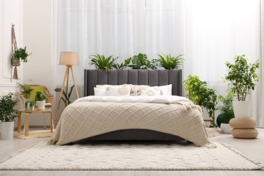 Large comfortable bed, lamp and beautiful houseplants in bedroom. Interior design clipart