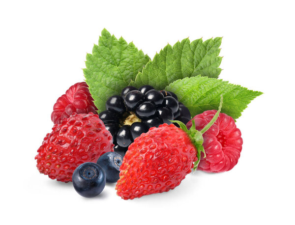 Wild berries. Blackberry, raspberries, strawberries, bilberries and green leaves isolated on white
