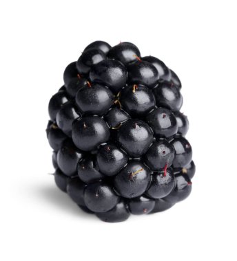 One tasty ripe blackberry isolated on white