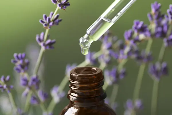 Dripping Essential Oil Pipette Bottle Lavender Green Background Closeup — Stock Photo, Image