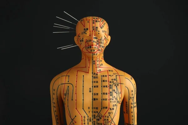Acupuncture - alternative medicine. Human model with needles in head on black background