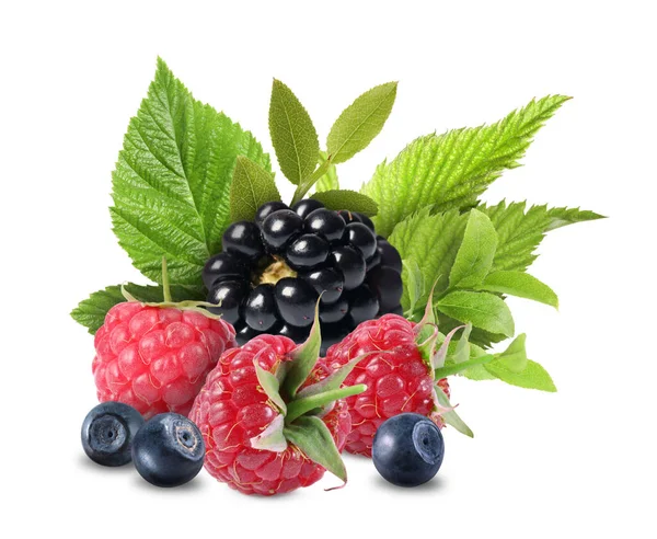 Wild Berries Blackberry Raspberries Bilberries Green Leaves Isolated White — Stock Photo, Image