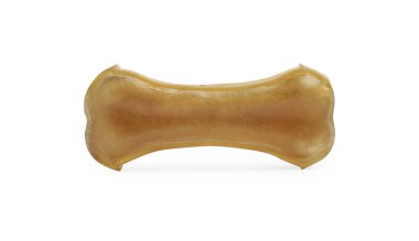 Beyaz arka planda bir kemik köpek muamelesi