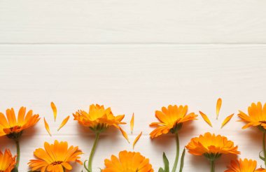 Beyaz ahşap masadaki güzel taze takvim çiçekleri, düz yatıyordu. Metin için boşluk