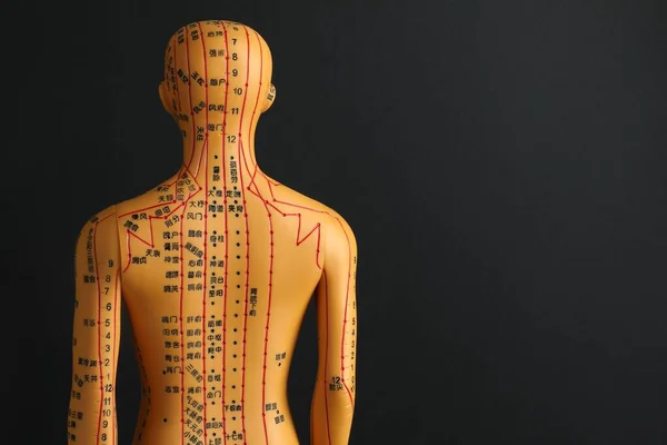 Acupuncture model. Mannequin with dots and lines on black background, back view. Space for text
