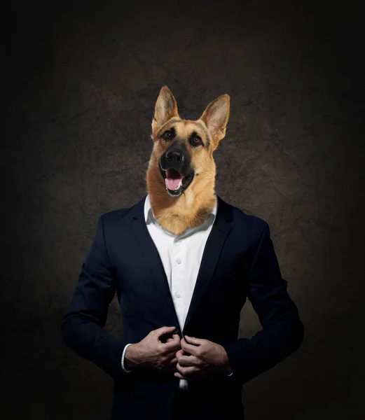 Retrato Hombre Negocios Con Cara Perro Sobre Fondo Oscuro —  Fotos de Stock