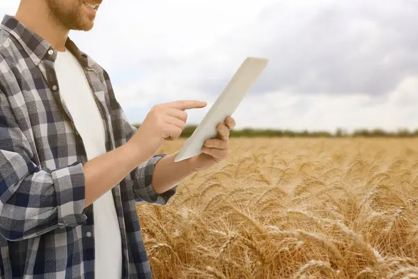 Tarlada Tablet Bilgisayarı Olan Çiftçi Yakın Plan Hasat Mevsimi — Stok fotoğraf