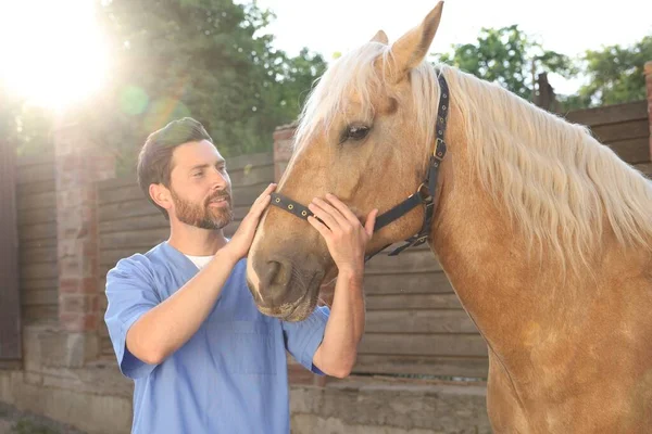 stock image Veterinarian with adorable horse outdoors. Pet care