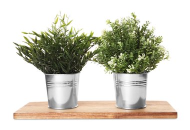 Beyaz arka planda yapay saksı bitkileri. Ev dekoru