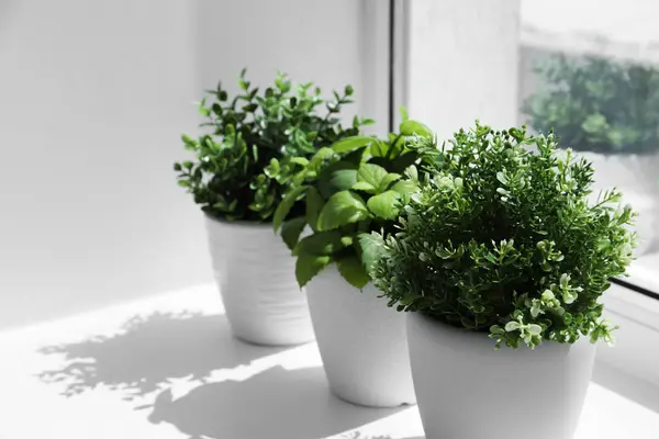 Herbes Artificielles Pot Jour Ensoleillé Sur Rebord Fenêtre Intérieur Décor — Photo