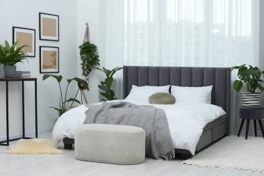 Büyük, rahat bir yatak ve güzel bitkiler. Yatak odasının içi.