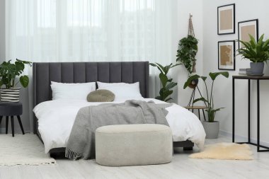 Büyük, rahat bir yatak ve güzel bitkiler. Yatak odasının içi.