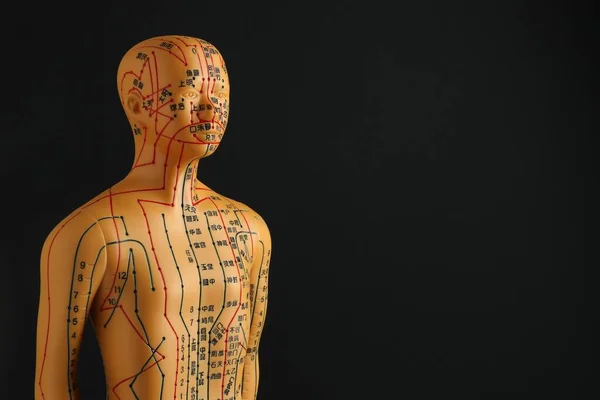 Acupuncture model. Mannequin with dots and lines on black background, space for text