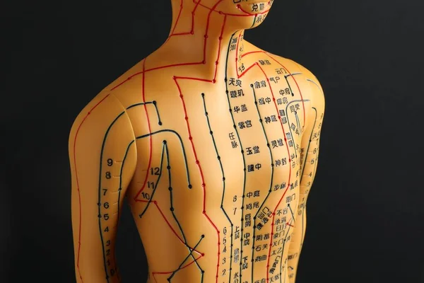 Acupuncture model. Mannequin with dots and lines on black background