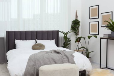 Büyük, rahat bir yatak ve güzel bitkiler. Yatak odasının içi.