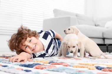 Evdeki halıda sevimli köpekleri olan küçük bir çocuk.
