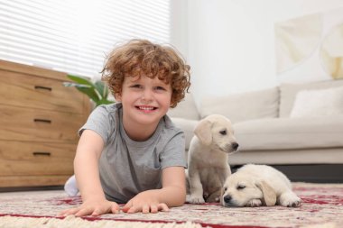 Evdeki halıda sevimli köpekleri olan küçük bir çocuk.