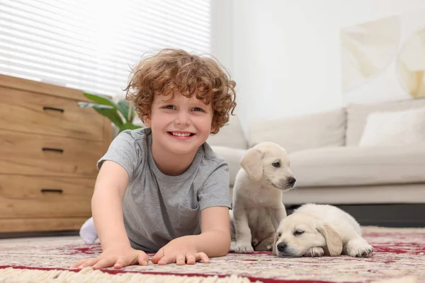 Evdeki halıda sevimli köpekleri olan küçük bir çocuk.