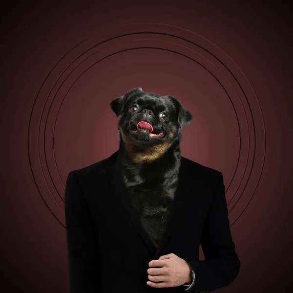 Portrait of businessman with dog face on dark background