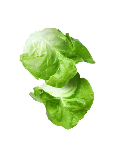 Listy Salátu Másla Padající Bílé Pozadí — Stock fotografie