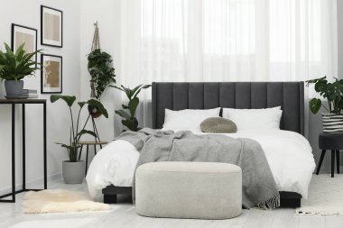 Büyük, rahat bir yatak ve güzel bitkiler. Yatak odasının içi.