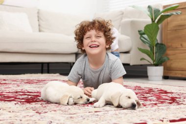 Evdeki halıda sevimli köpekleri olan küçük bir çocuk.