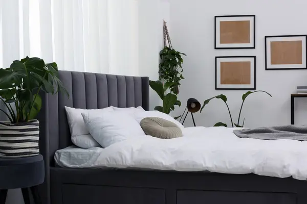 Большая Удобная Кровать Красивые Домашние Растения Комнате Интерьер Спальни — стоковое фото