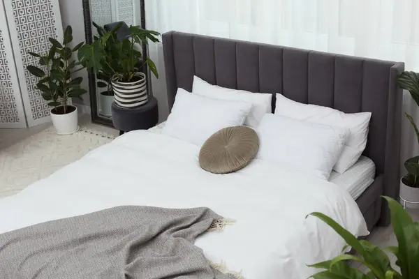 Büyük Rahat Bir Yatak Güzel Bitkiler Yatak Odasının Içi — Stok fotoğraf