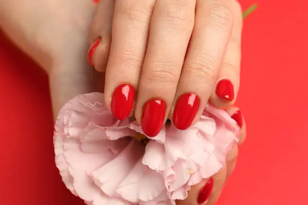 Woman Gel Polish Nails Touching Flower Red Background Closeup — Stock Photo, Image