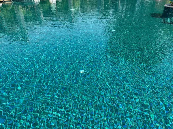 Clear water in outdoor swimming pool on sunny day