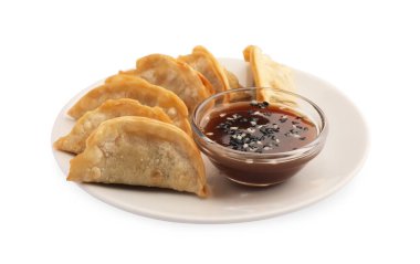 Soya soslu lezzetli gyoza (Asya hamur tatlısı) ve beyaz üzerine izole edilmiş susam.