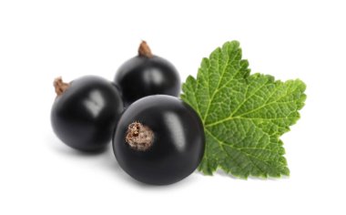 Olgun kuşüzümü ve yaprak beyaza izole edilmiş.