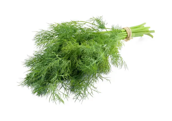 Bunch Fresh Dill Isolated White — Stock Photo, Image